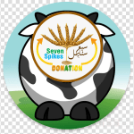 Seven Spikes Relief Foundation