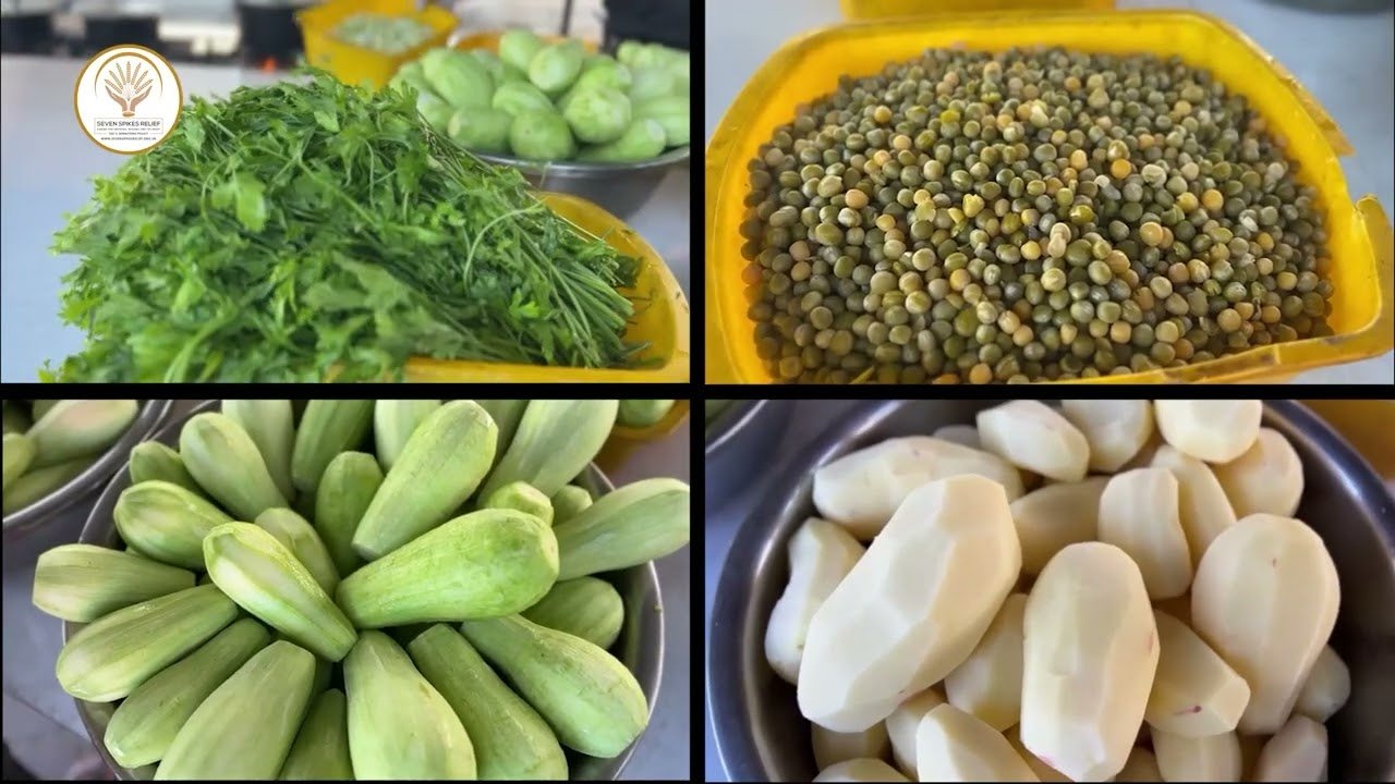 Street Kitchen (127) for the Displaced Families in Gaza